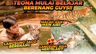 Download lagu TEONA BELAJAR RENANG DI KOLAM ! LANGSUNG BISA MENYELAM ?! AKTIF BANGET PERGERAKAN TEONA !! mp3 Download lagu TEONA BELAJAR RENANG DI KOLAM ! LANGSUNG BISA MENYELAM ?! AKTIF BANGET PERGERAKAN TEONA !! mp3