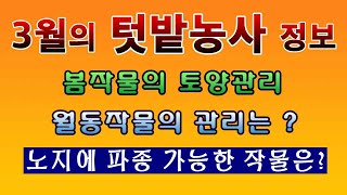 [텃밭농부. 1,350]  3월의 텃밭농사 정보. 올해의 농사 시작