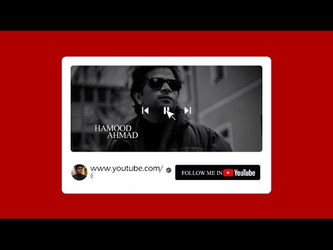 "Rescuing Dogs from Challenging Situations | Heartwarming Animal Rescue Mission"