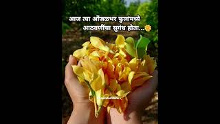 Download lagu chafa bolena | marathi song | lata mangeshkar | status | DreamAndShine💫 mp3