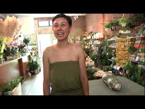 download lagu mp3 mp4 Sprout Baby Nyc, download lagu Sprout Baby Nyc gratis, unduh video klip Sprout Baby Nyc