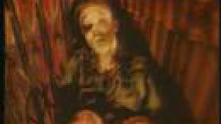 U-MV027 - Tricky - Ponderosa