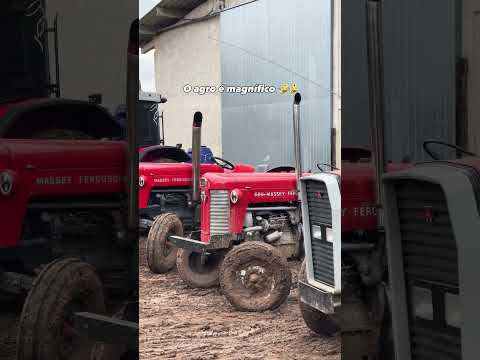 Minas Gerais: Agroforte, a força que impulsiona o Brasil.