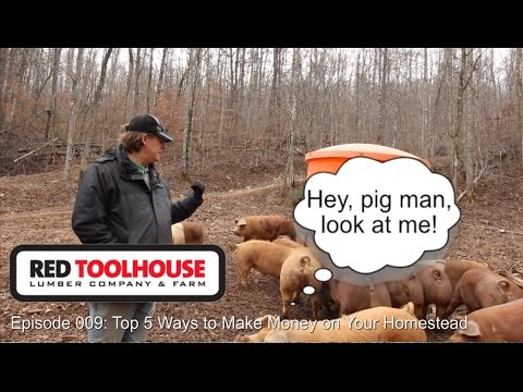 Ep 9: Top 5 Ways to Make Money on Your Homestead
