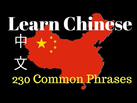 Learn Mandarin Chinese // 230 BASIC PHRASES 中文 Video