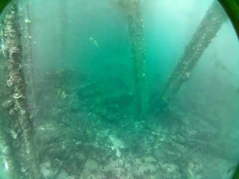 Rapid Bay Live by AusOcean 20/06/2023