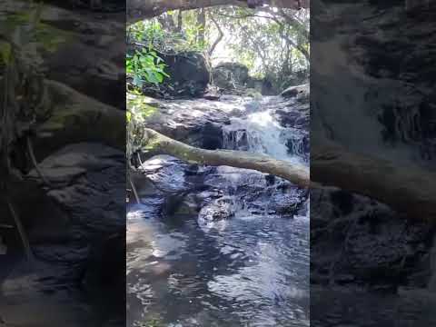 GARUPA MISIÓNES ARGENTINA