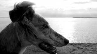 Infant Hercules - Cattle &amp; Cane