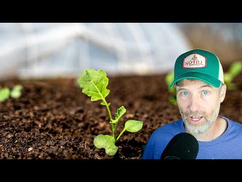Soil Health on the Cheap + Incorporating Fertility Without Tilling
