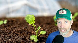 Soil Health on the Cheap + Incorporating Fertility Without Tilling