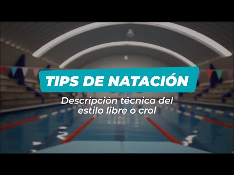Tips de Natación - Descripción técnica del estilo libre o crol
