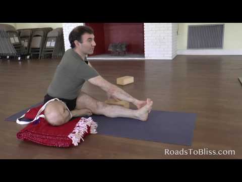 Ardha Matsyendrasana 2 with David Meloni , Iyengar Advanced Senior 2