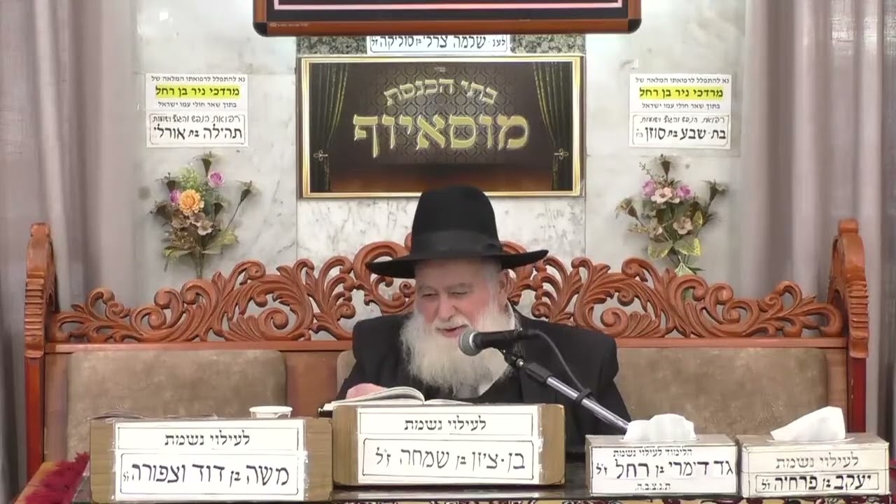 פרשת שמות תשפ"ו | מוסאיוף |