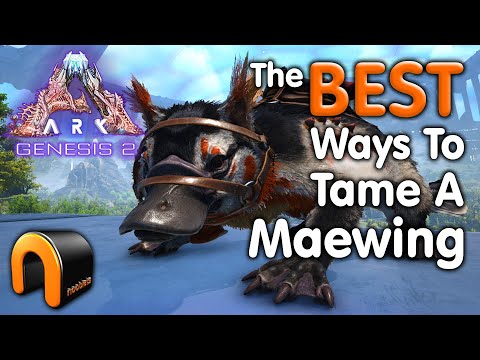 Steam Community Video Ark Genesis 2 Best Ways To Tame A Maewing Ark