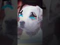 Free Like Video Wishbone Crying
