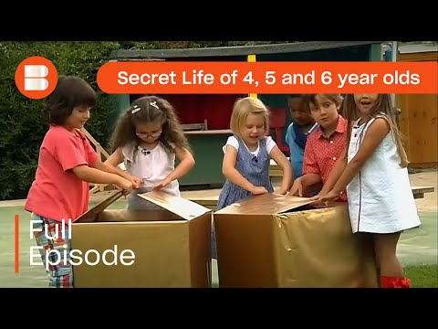 The Formative Years: Understanding Young Children | Vibepedia