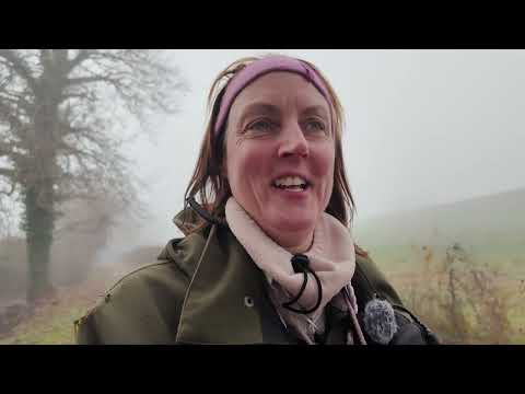 Last Driven pheasant shoot before Christmas