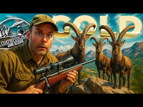 Ich fand eine DICKE ÜBERRASCHUNG während ich alle Tiere auf Cuatro Colinas in Gold schoss 🤯