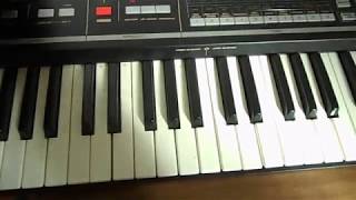 Casio CT-1000P - What To Know & Where To Buy | Equipboard