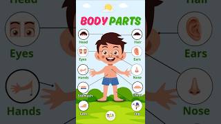 Body Parts Name for Kids 👶 | Learn Human Body Parts with Pictures & Pronunciation #Shorts