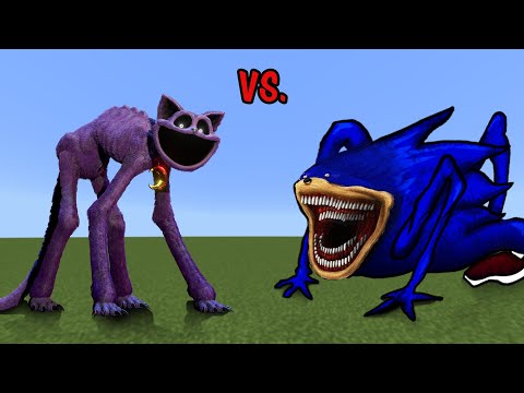 Catnap vs. Shin Sonic! MC