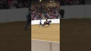 Wardrobe malfunction-2018 QH Congress Freestyle