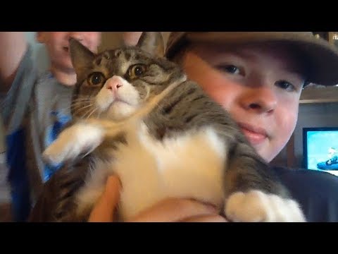 STM Koveto vs. ARC ShockWave vs. STM Theseus vs. Walrus99 - Round 1 - Karting Kickoff 2016