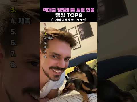 역대급 댕댕이들 뽀뽀 반응 TOP8