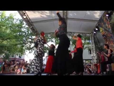 Flamenco Gruppe - Tanzboden altonale 16