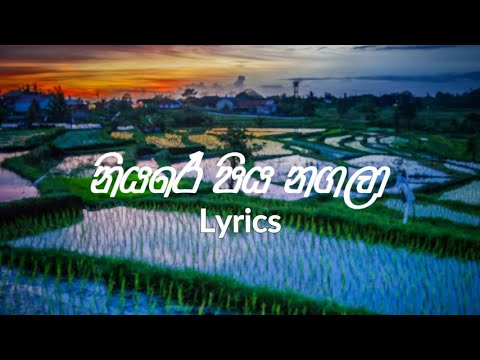 Niyare Piyanagala - නියරේ පිය නගලා Lyrics | Saman De Silva