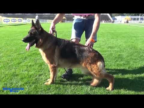 Tokyo von der Kaiserquelle - BSZS 2023