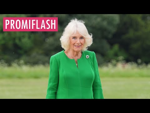 Königin Camilla hält sich aus Charles' Streit mit Harry raus
