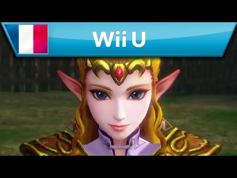 Hyrule Warriors - Lots de costumes (Wii U)