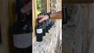 Primitivo Puglia I.G.T. Danese 5+1