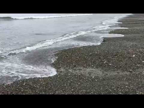 Beach cusps on Agate beach, Haida Gwaii