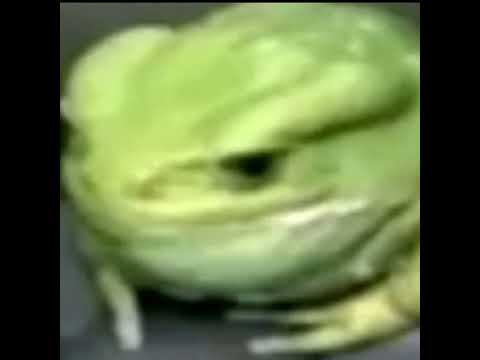 NEW KIRIBATI SONG 🇰🇮. PukaVuka - I mean... I don't mean (Official Audio)