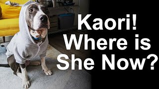 Kaori! Where is She Now?