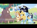 Bandit Heeler In Pain Compilation Father S Day Special