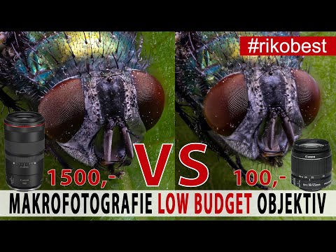 Makrofotografie - Perfekte Fotos mit low Budget Objektiven? Kitobjektiv VS Makroobjektiv im Test