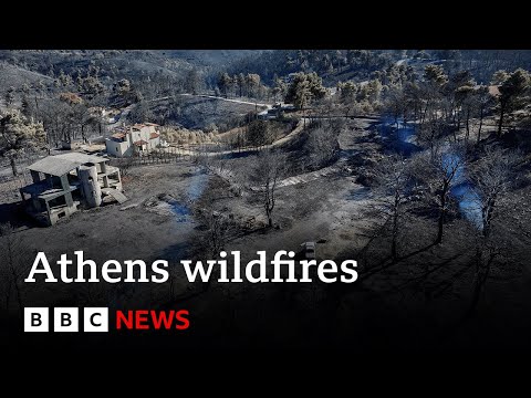 消防部門稱希臘野火已得到控制 | BBC News (Greece wildfires brought under control, says fire service | BBC News)