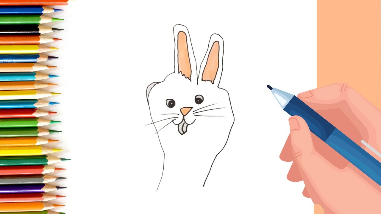 How to draw Bunny
