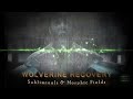 WOLVERINE RECOVERY - Take Your Recovery to the Next Level | Subliminals & Morphic Fields