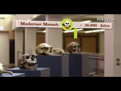 ZDFzeit: Vegetarier gegen Fleischesser - Das Duell