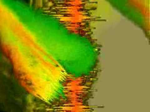 Samplitude Music Studio 16/ Guitar  ( Selfmade )