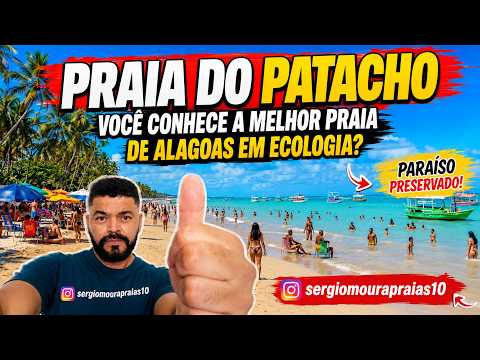 Praia do Patacho em Milagres, sabe o que faz ela ser a melhor de Alagoas em ecologia?