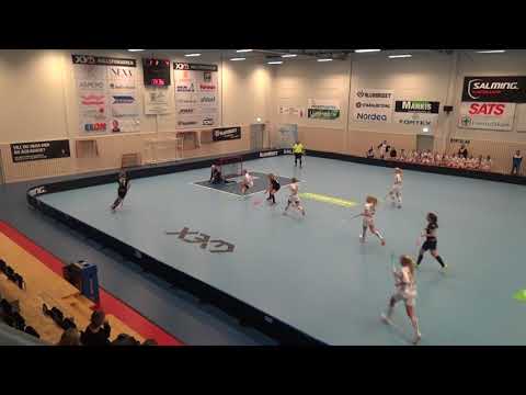 171029 TRÄNINGSMATCH LINDÅS DAM A - GÖTEBORGS DISTRIKTSLAG F01 ((3-9) Per2b
