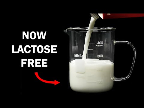 What You Never Knew About Lactose-Free Milk