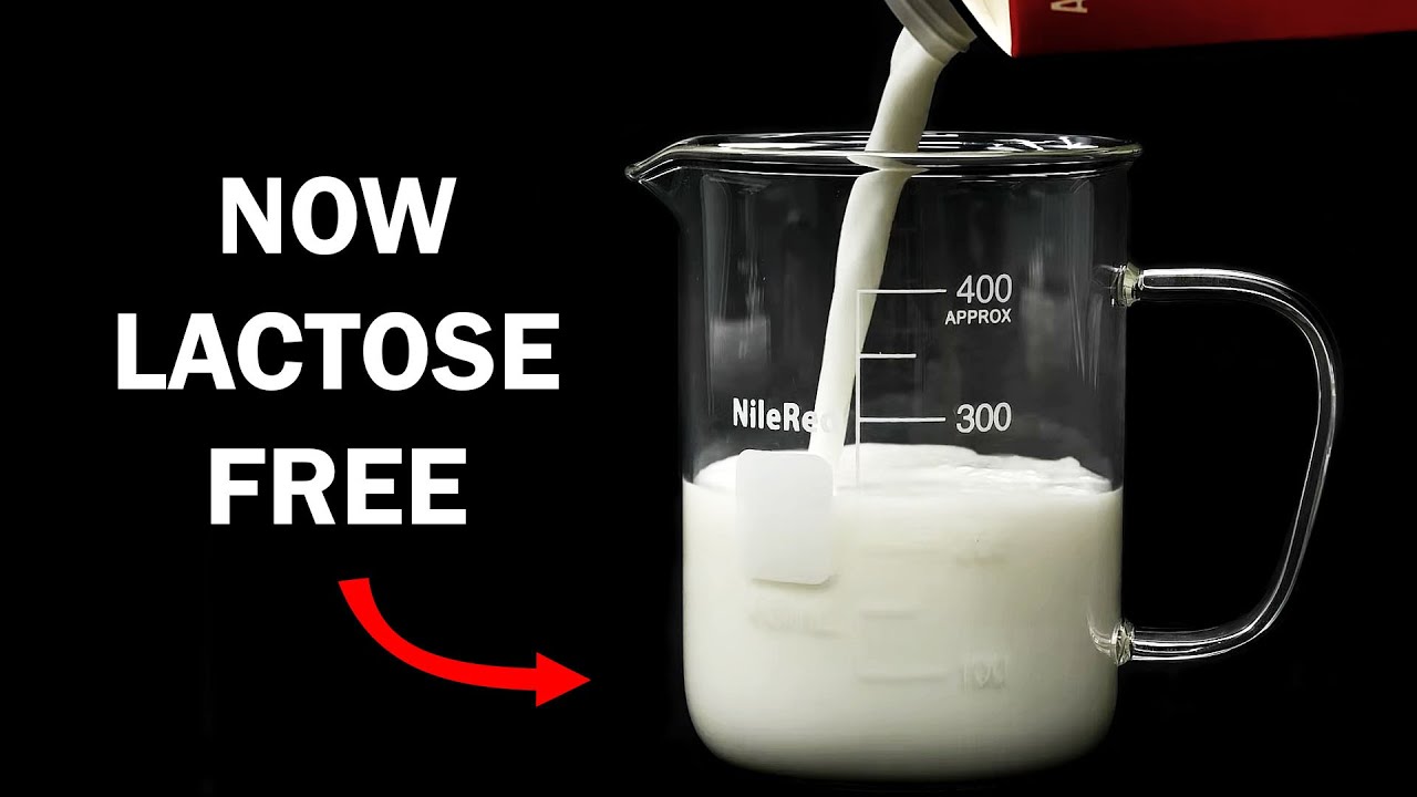 Making milk lactose free