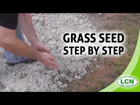 Planting and growing grass seed - step by step