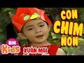 Liên Khúc CON CHIM NON Bé Xuân Mai Nhạc Thiếu Nhi Vui Nhộn THẦN ĐỒNG ÂM NHẠC NHÍ 